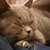 Image-square_50