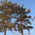 Image-square_50