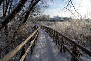 Image-preview_300x200
