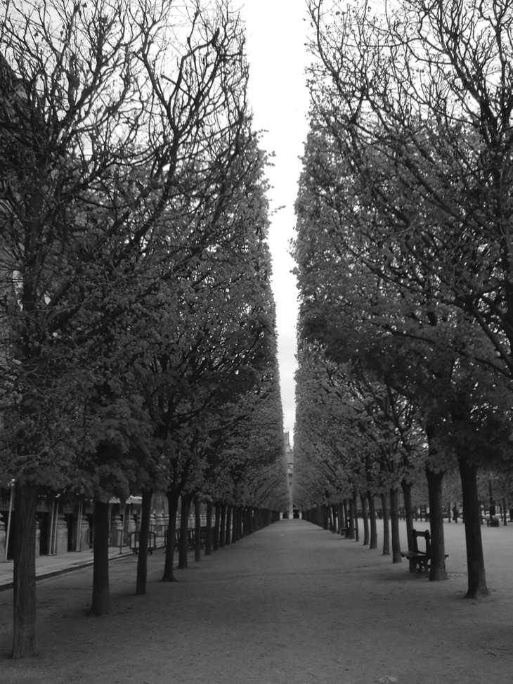 Image-normal