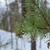 Image-square_50