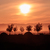 Image-square_50