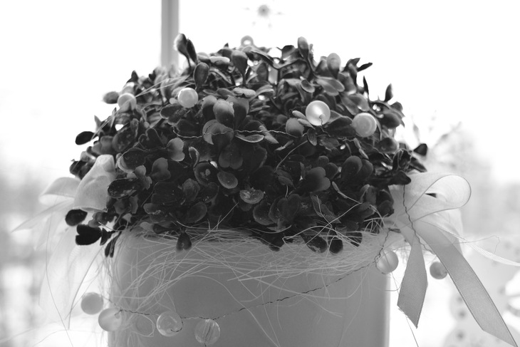 Image-normal