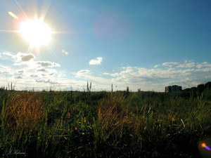 Image-preview_300x200