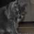 Image-square_50