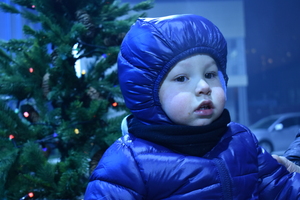 Image-preview_300x200