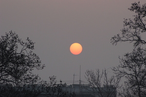 Image-preview_300x200