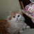 Image-square_50