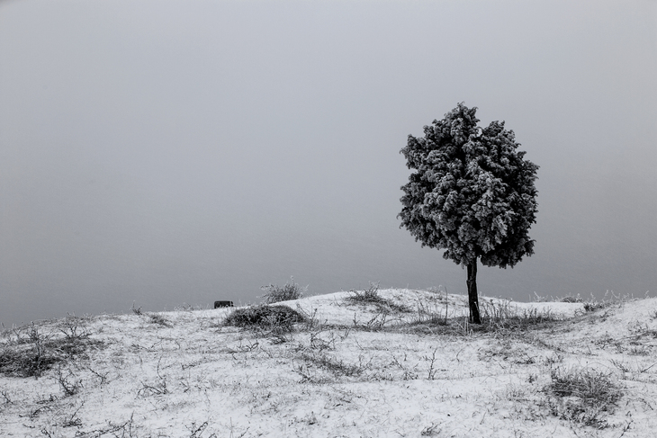 Image-normal