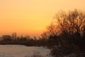 Image-preview_300x200