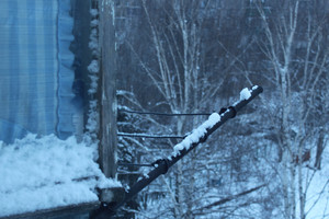 Image-preview_300x200