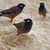 Image-square_50