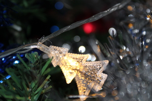 Image-preview_300x200