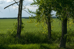 Image-preview_300x200