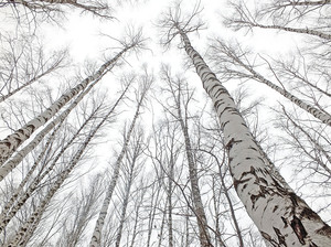Image-preview_300x200