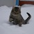 Image-square_50