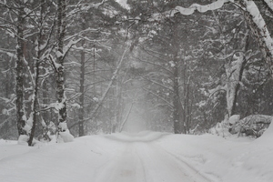 Image-preview_300x200