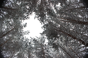 Image-preview_300x200