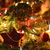 Image-square_50