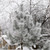 Image-square_50