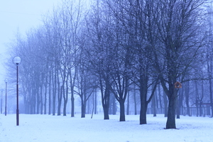 Image-preview_300x200