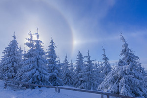 Image-preview_300x200