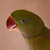 Image-square_50