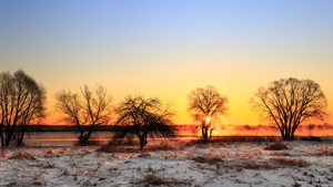 Image-preview_300x200