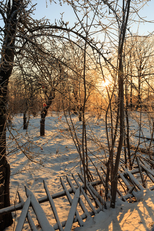 Image-preview_300x200