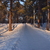 Image-square_50