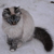 Image-square_50