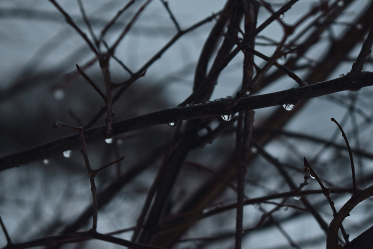 Image-normal