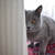 Image-square_50