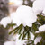 Image-square_50