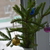 Image-square_50