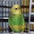 Image-square_50