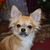 Image-square_50