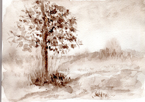 Image-preview_300x200