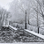 Image-square_50