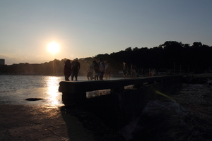 Image-preview_300x200