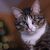 Image-square_50