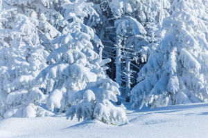 Image-preview_300x200