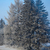 Image-square_50