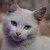 Image-square_50