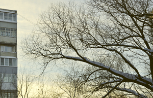 Image-preview_300x200