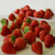Image-square_50