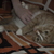 Image-square_50