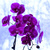 Image-square_50