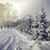 Image-square_50