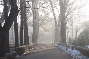 Image-preview_300x200
